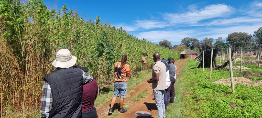 Hemp Training - GRHI 'We Train to Buy'