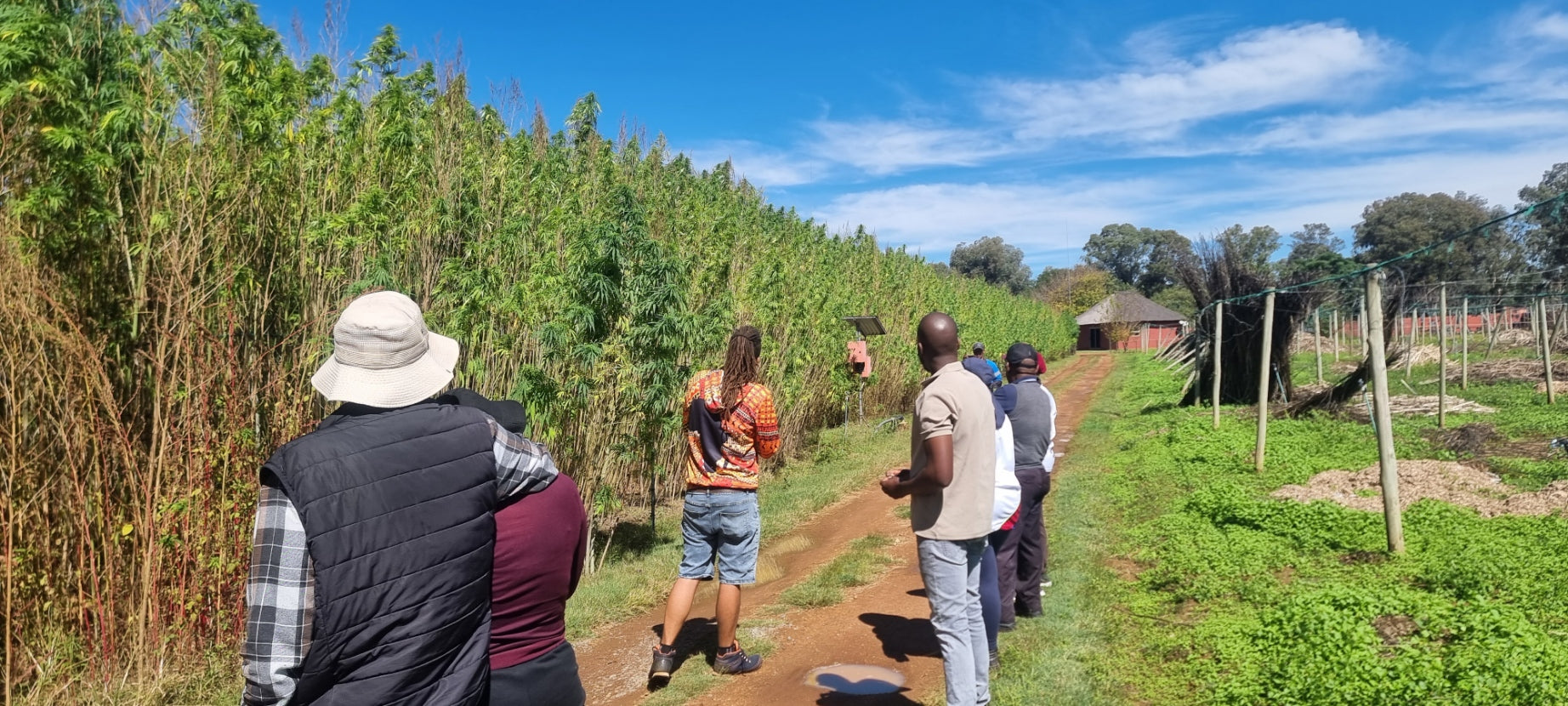 Hemp Training - GRHI 'We Train to Buy'